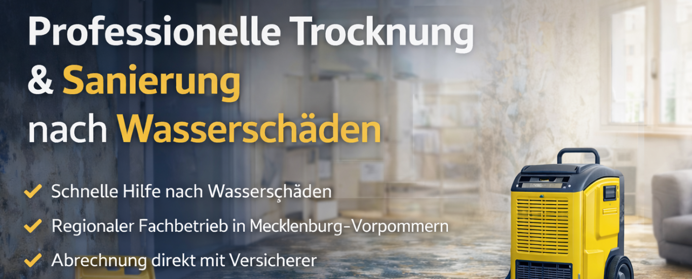 MV Trocknung & Sanierung